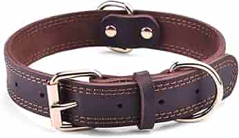 (未使用･未開封品)　Every Dog Has Her Da lok26k6 Amazon.com : New World Double Door Folding Metal 36-Inch Dog